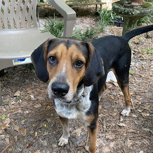 Meet your Posher, Michele